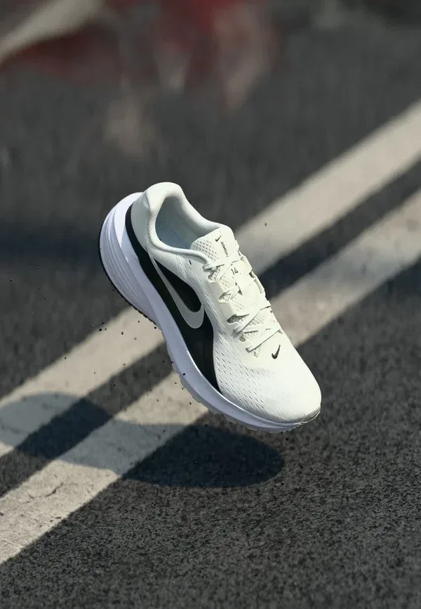 Кроссовки для бега по шоссе Downshifter 14 Nike Performance, Summit White/Metallic Silver/Black/White/Photon Dust