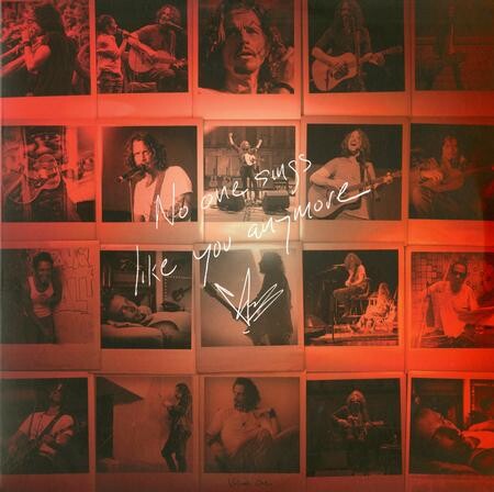 

Виниловая пластинка Cornell, Chris - No One Sings Like You Anymore
