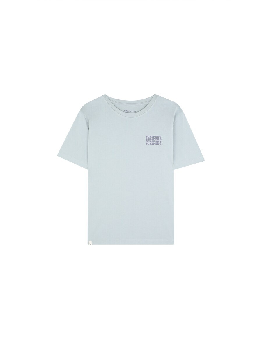 

Футболка Scalpers Shirt Artist, цвет dusty blue/light blue