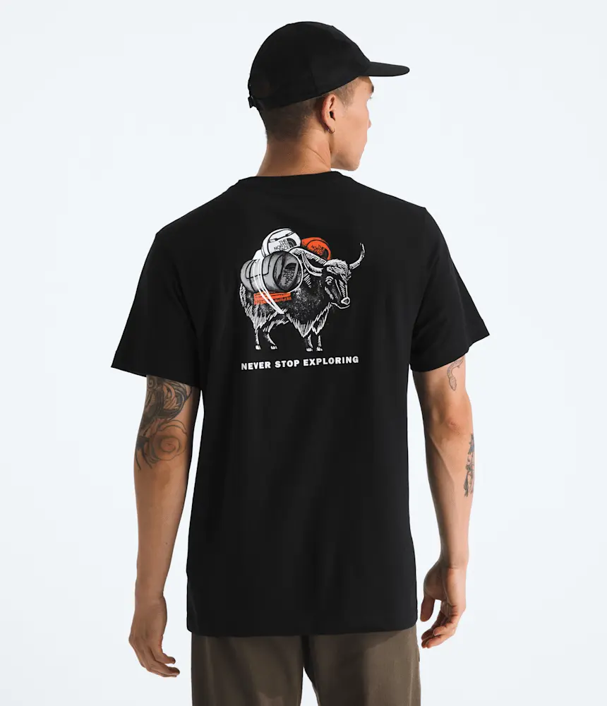 

Мужская футболка Evolution Vault Tri Pack с коротким рукавом - с графикой The North Face, TNF Black