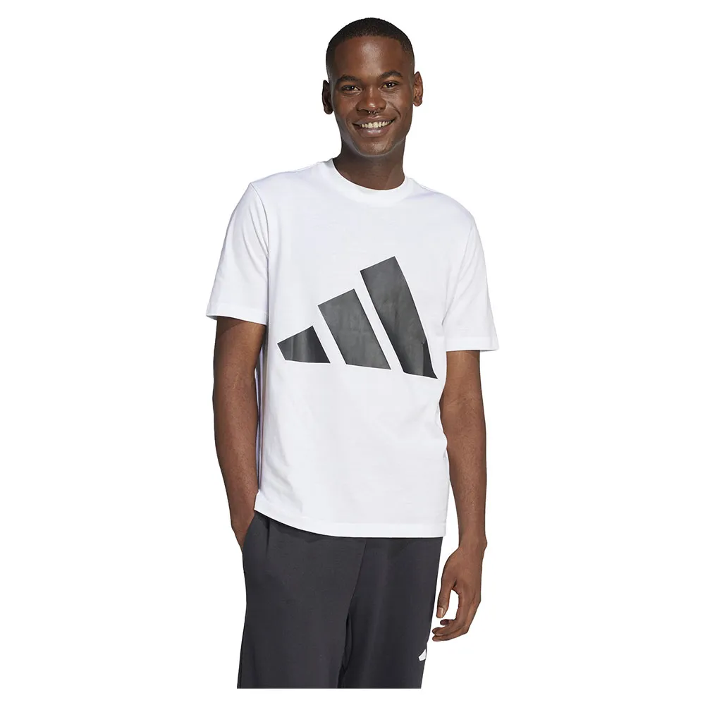 

Футболка adidas Essentials Big Logo, белый