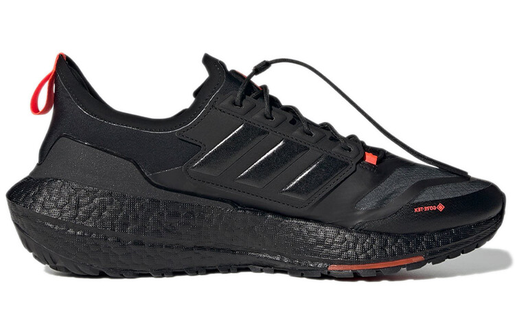 Adidas Ultra Boost 21 Gore-Tex Carbon
