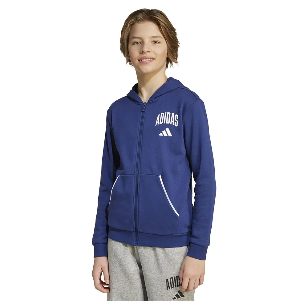 

Толстовка adidas Seasonals Essentials Collegiate Typography full zip, синий