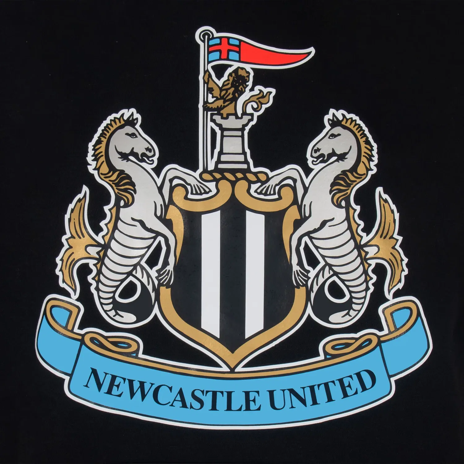 Детский худи Newcastle United FC, черный — фото 2