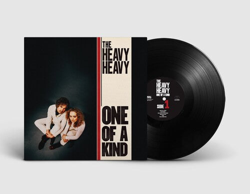 

Виниловая пластинка Heavy Heavy: One Of A Kind