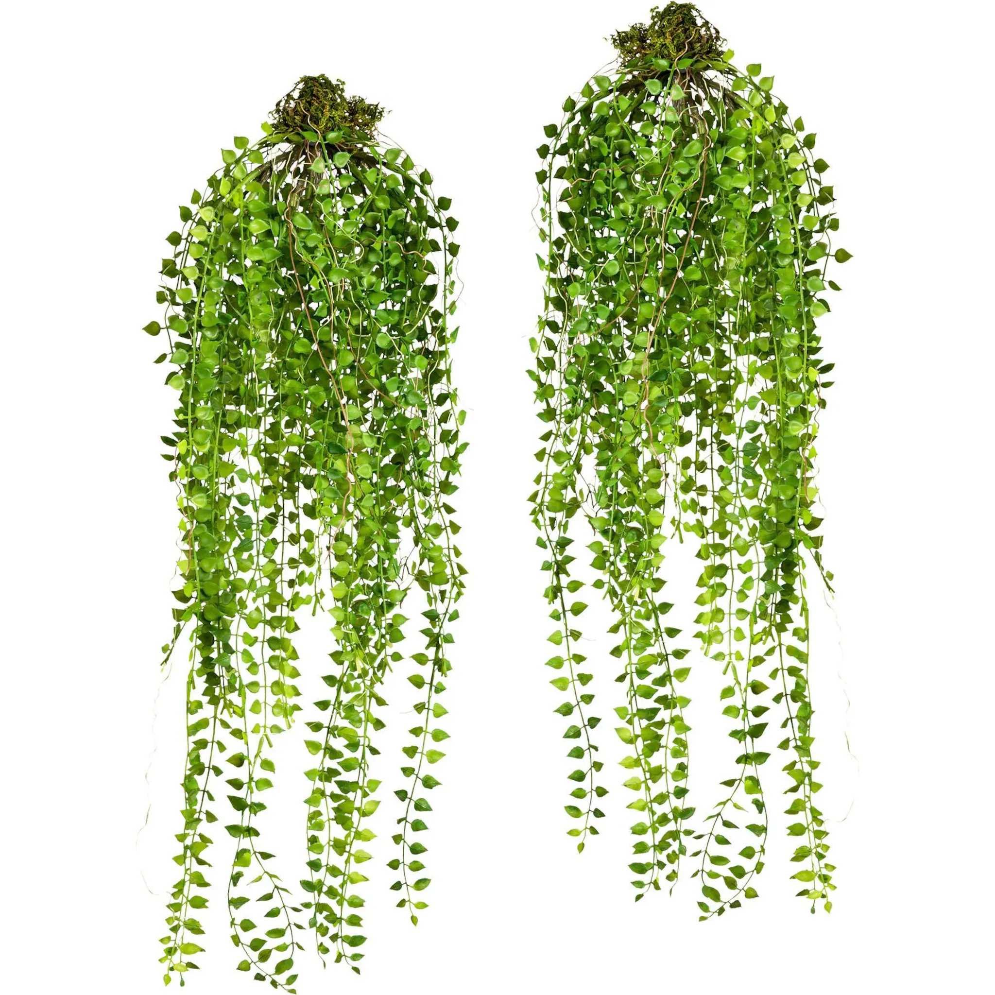 

Креативная зеленая искусственная лоза Creativ Green, зеленый
