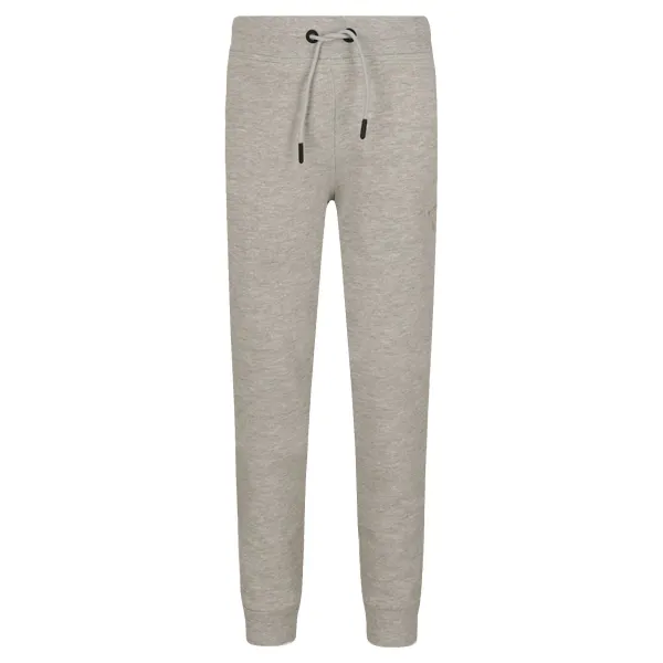

Спортивные брюки прямого кроя Active Guess, серый