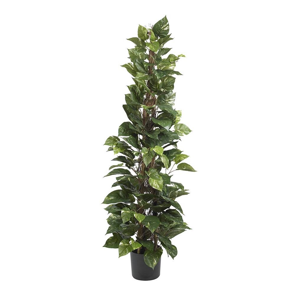 

почти натуральный шелк 63 из растения Pothos Climbing Plant Nearly Natural, зеленый