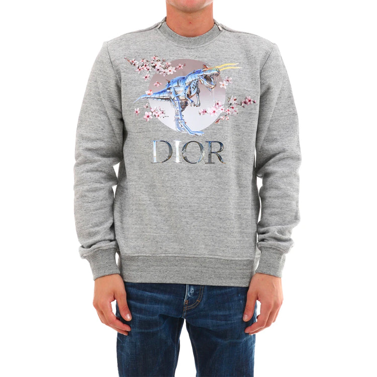 Худи DIOR Tyrannosaurus Rex Cherry Blossom Zipper Sweater Unisex Grey, серый — фото 2
