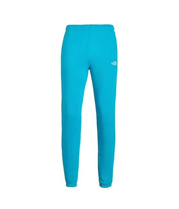 Штаны повседневные Evolution Simple Dome The North Face Kids, Meridian Blue