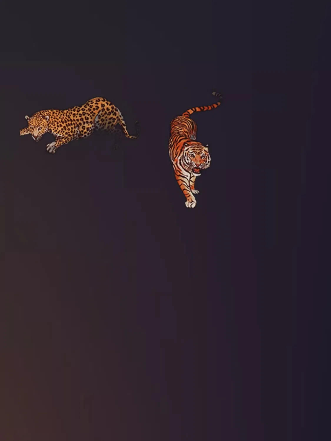 Футболка 'Walkiddy - Tigers and Leopards Shirt' Walkiddy, Navy — фото 2