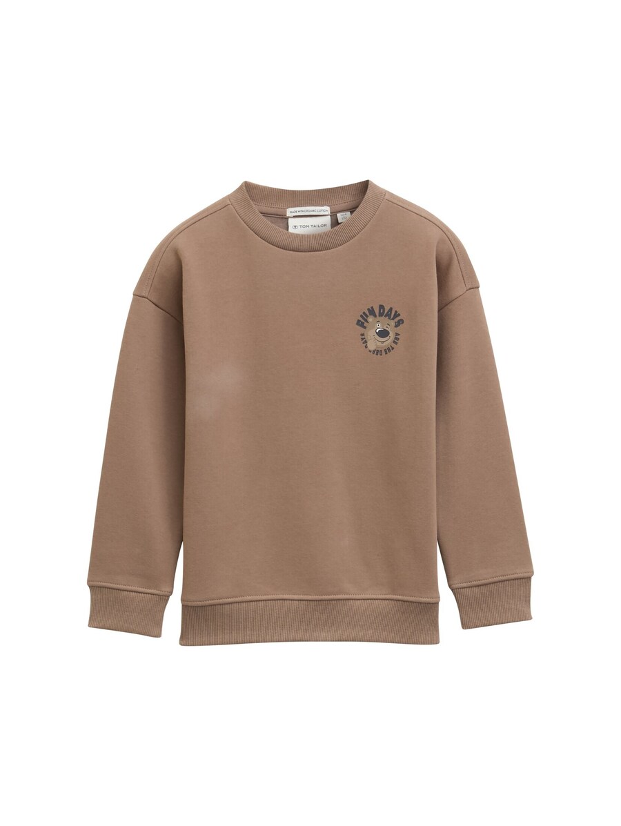 

Толстовка TOM TAILOR, Pueblo