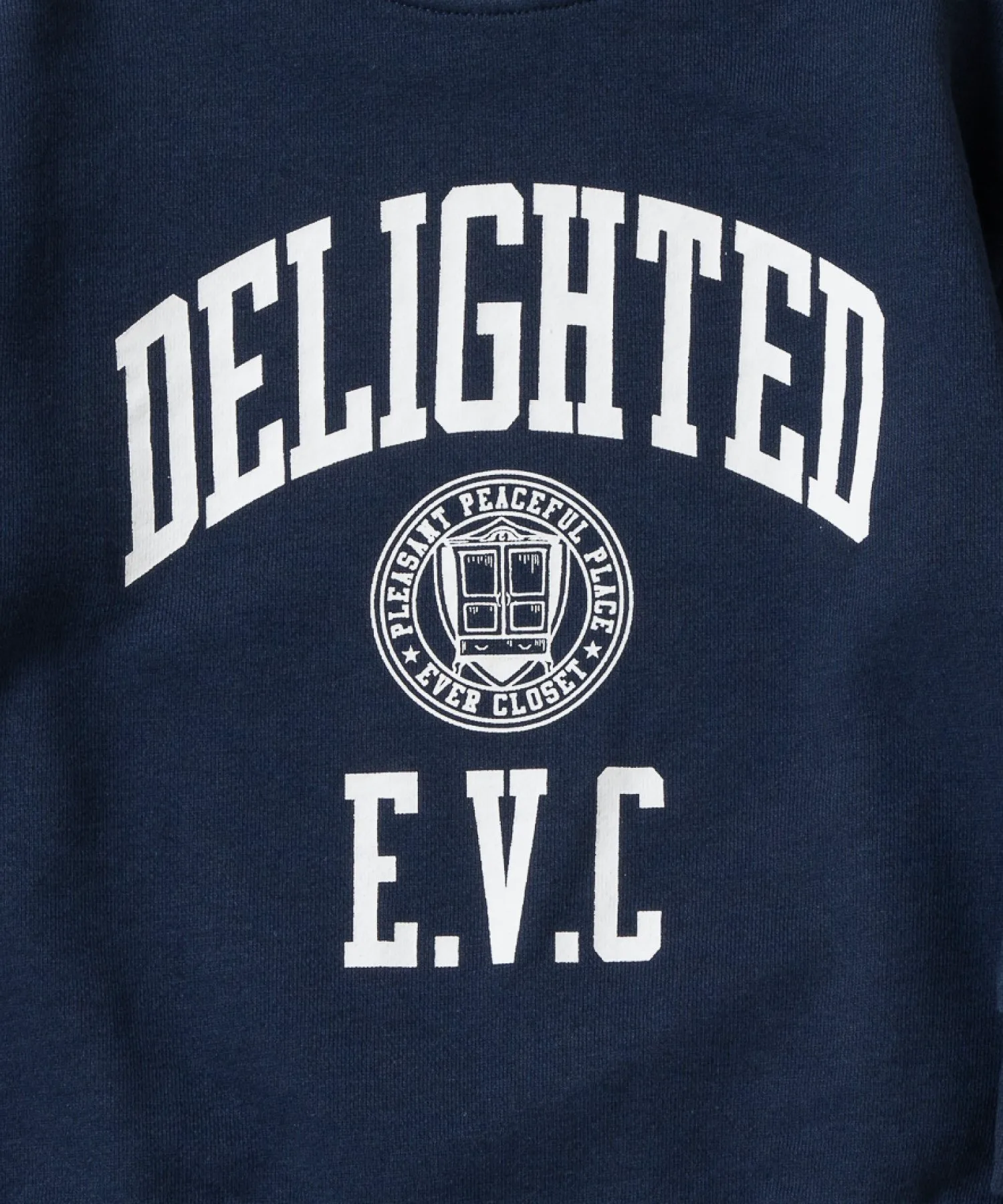 Толстовка с принтом Ever Closet, Navy (logo) — фото 3