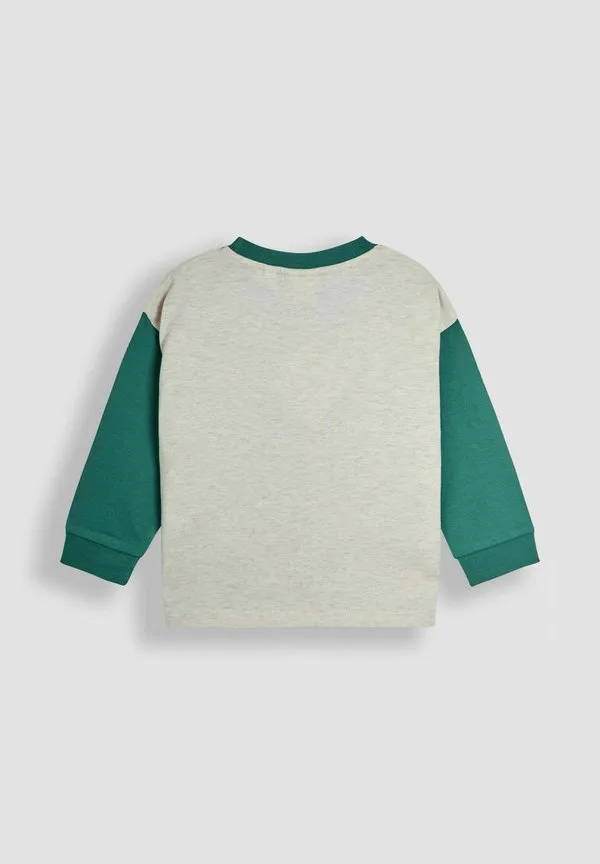 Толстовка с аппликацией и рисунком, стандартного кроя. Jojo Maman Bébé, Light Green — фото 2