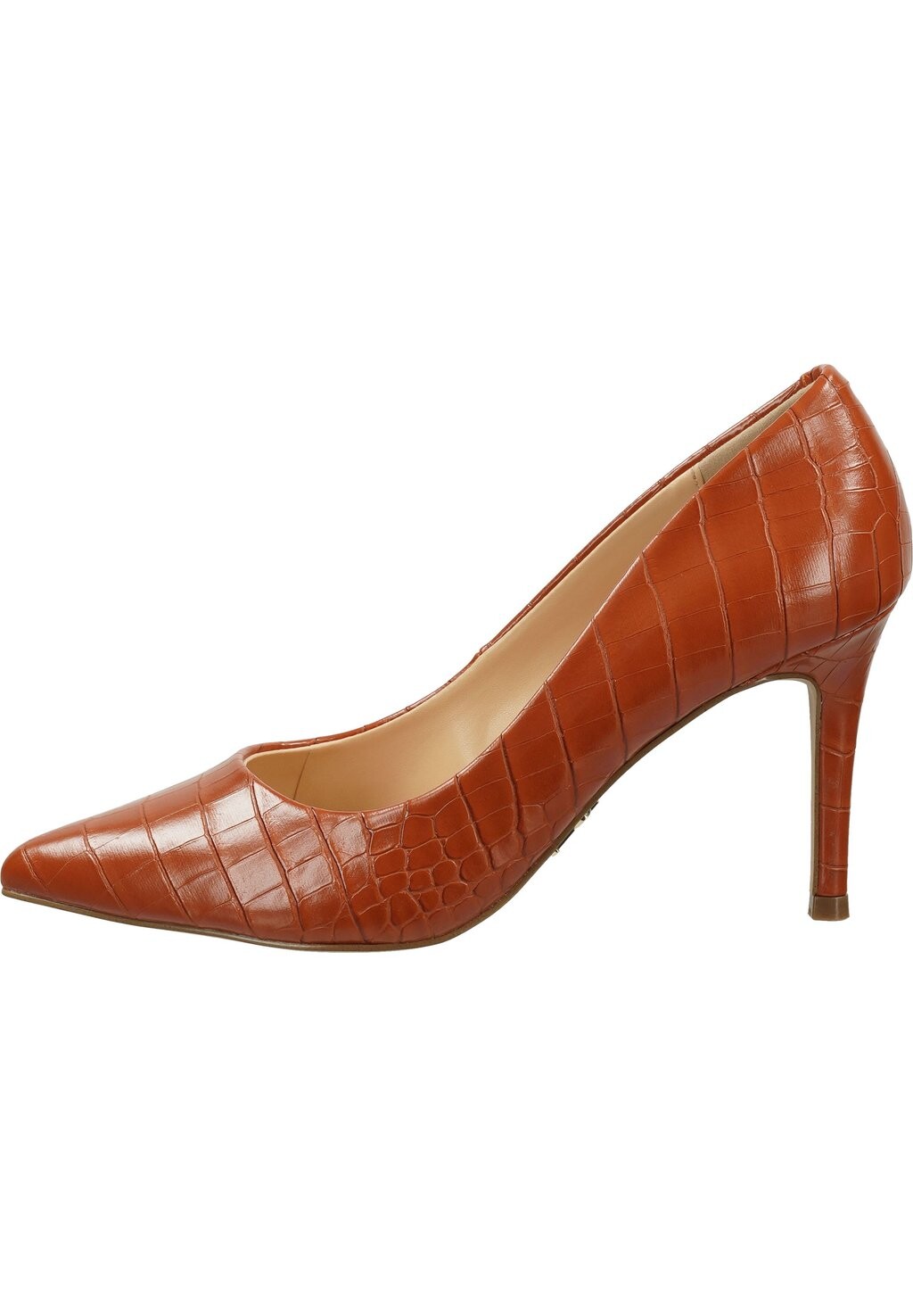 

Туфли Божья коровка C Steve Madden, цвет cafe