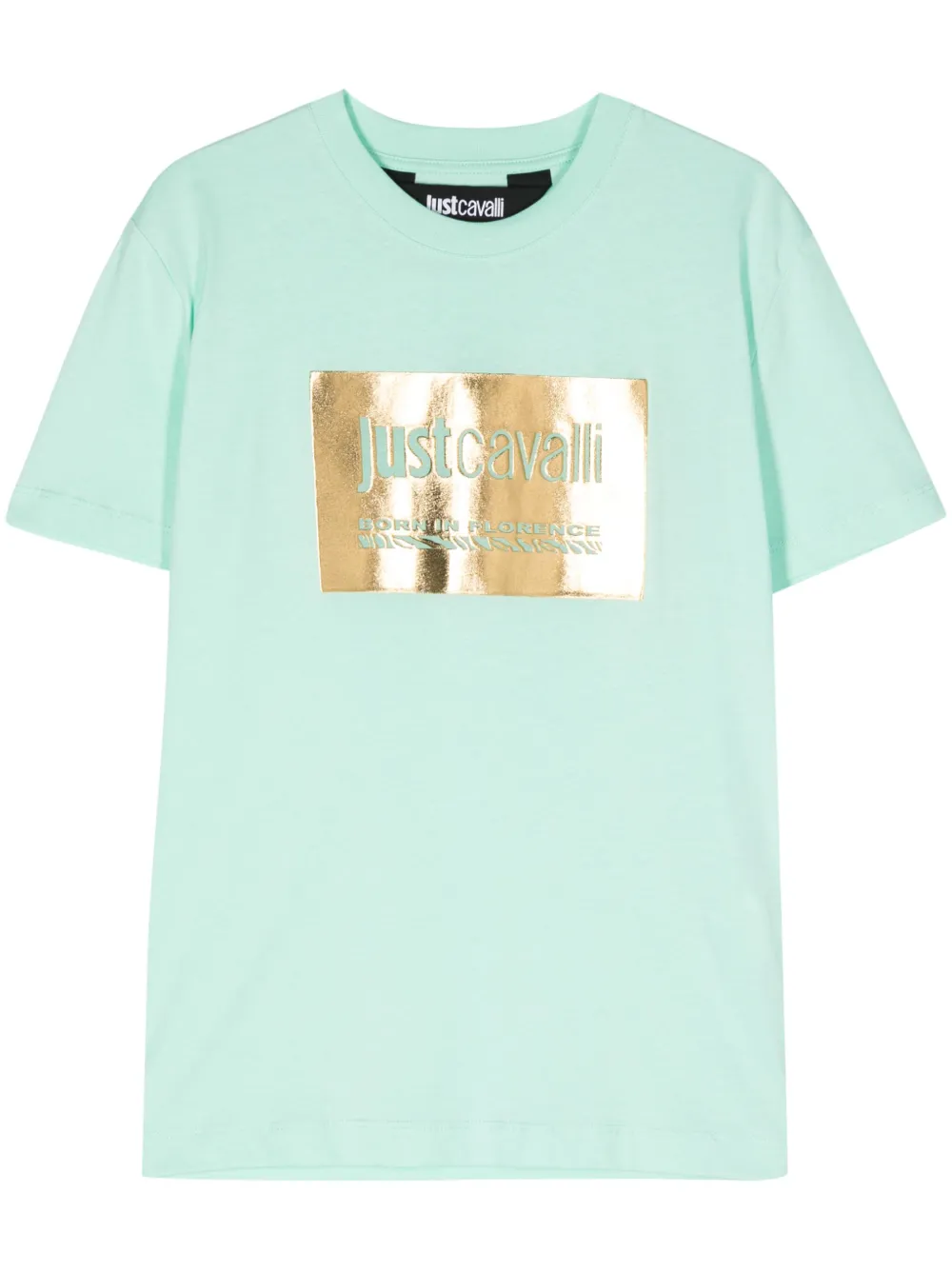 

Футболка с тисненым логотипом Just Cavalli, зеленый