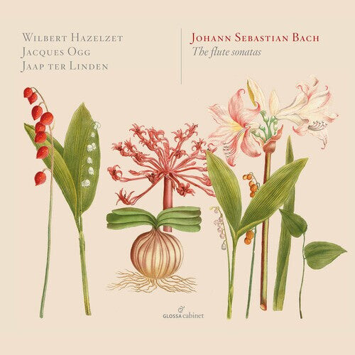 

CD диск Bach, J.S. / Hazelzet / Ogg / Linden: Flute Sonatas