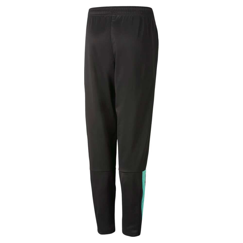 

Брюки Puma Teamliga Pa, черный