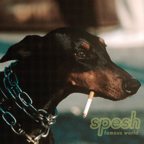 

Виниловая пластинка Spesh: Famous World