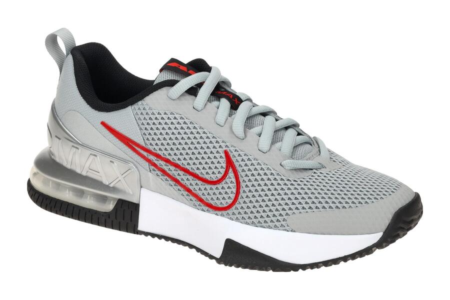 

Кроссовки NIKE AIR MAX ALPHA TRAINER 6 серо-серебристые мужские FQ1833