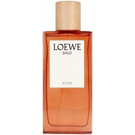 

Парфюмированная вода Loewe Solo Atlas