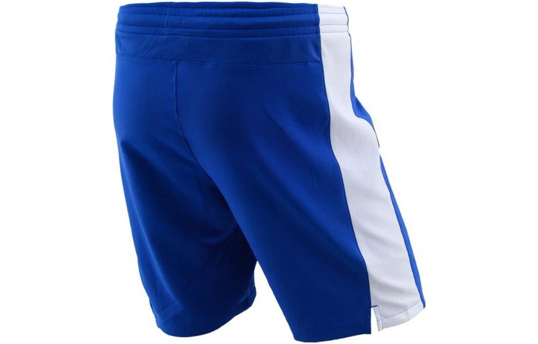 Шорты Nike Dri-FIIT Shorts 703209-463 — фото 2