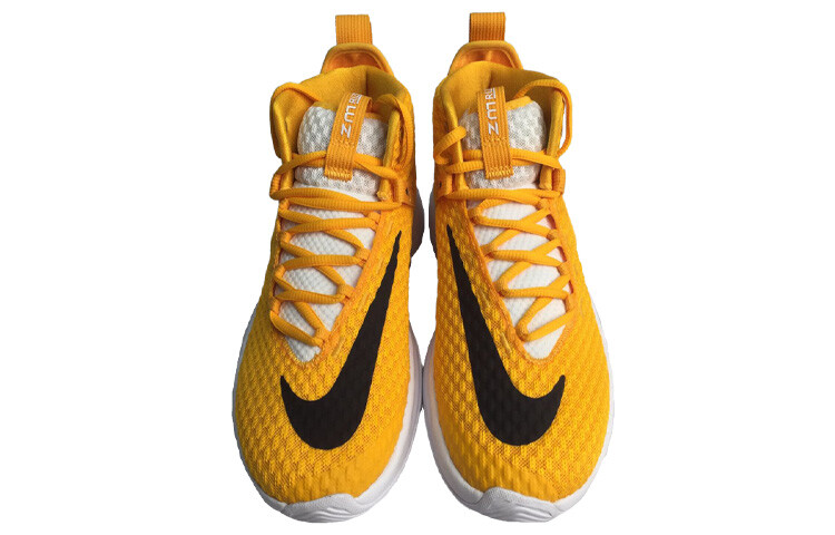 

Мужские баскетбольные кроссовки Nike Zoom Rize 1