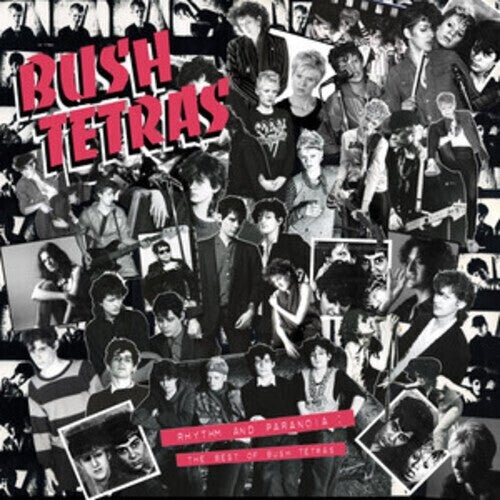 

Виниловая пластинка Bush Tetras - Rhythm & Paranoia: The Best Of Bush Tetras
