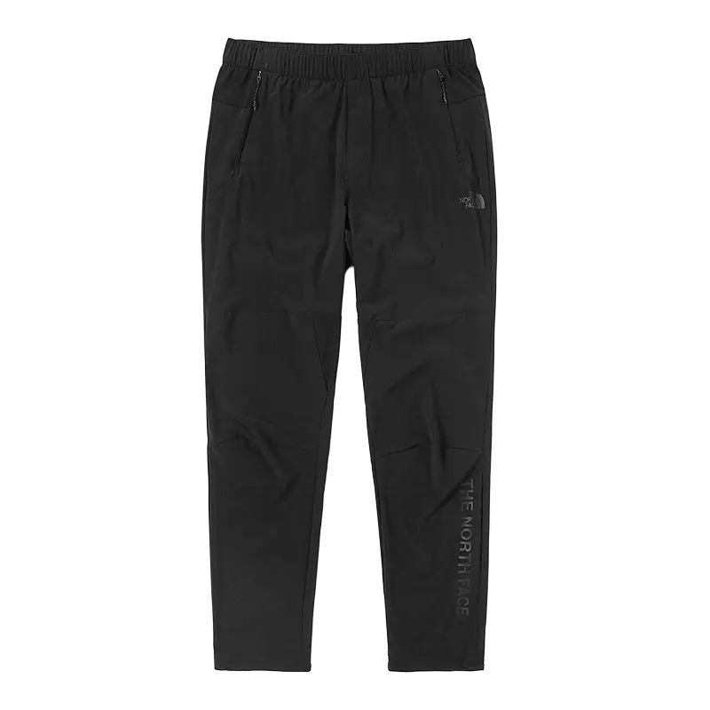 

THE NORTH FACE Мужские повседневные брюки, цвет Black