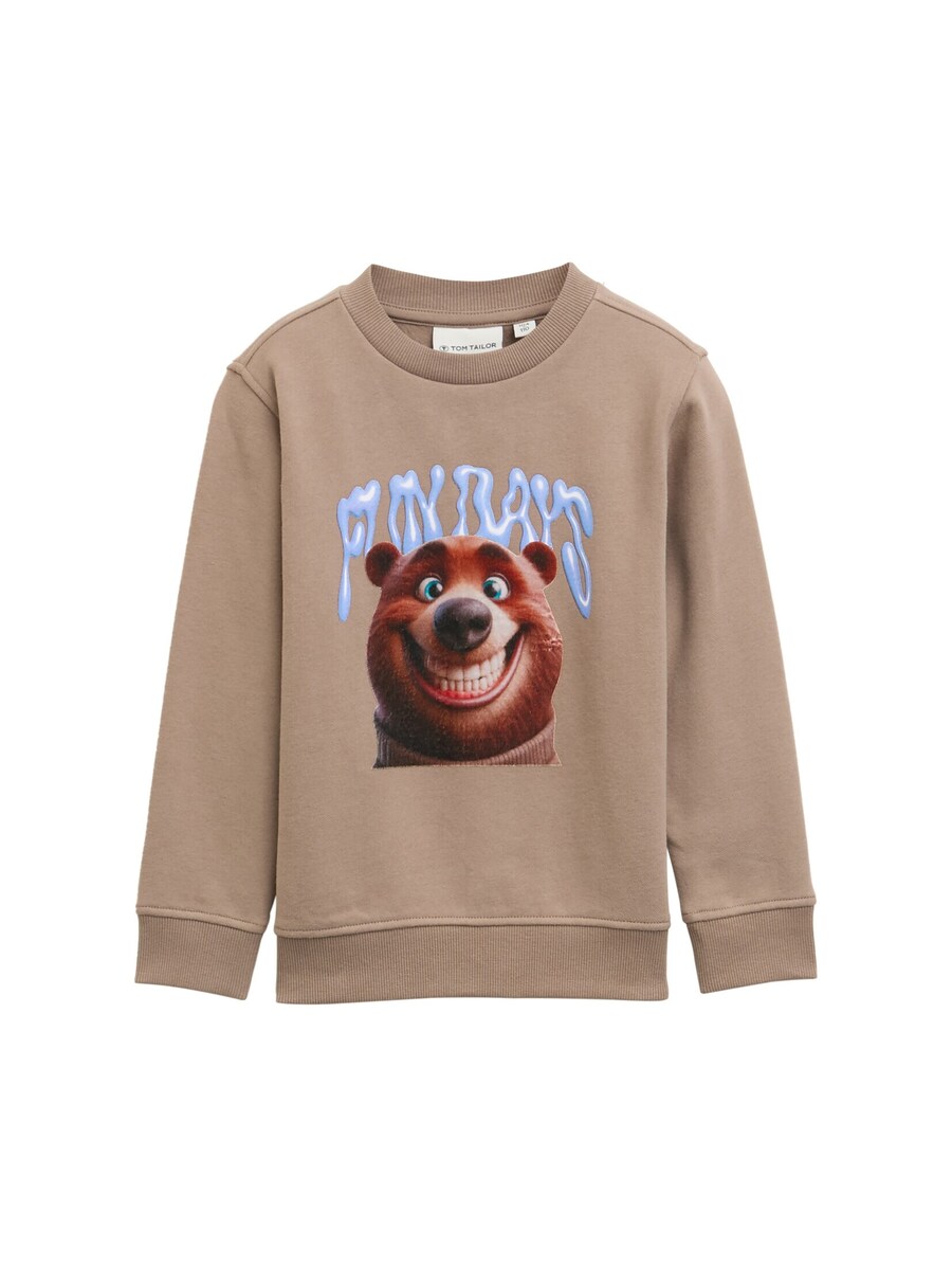 

Толстовка TOM TAILOR, светло-коричневый/темно-коричневый