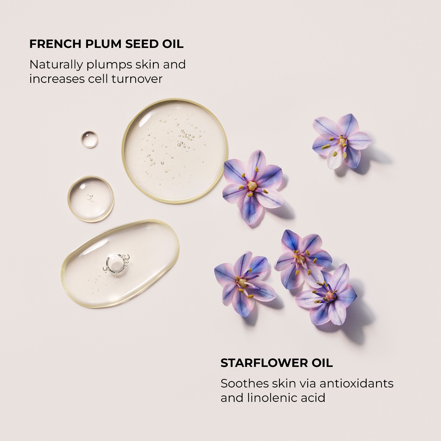 Масло для тела b&b body oil Laura Mercier, объем néroli du sud 100 мл — фото 4