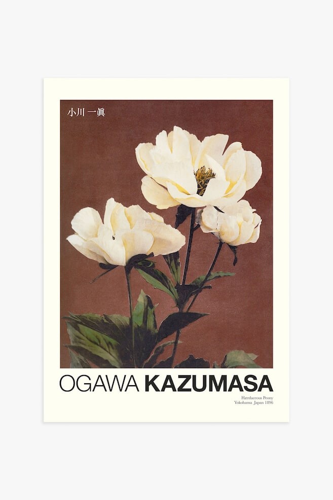 

Плакат «пион» от kazumasa Postery, 50x70 см, красный