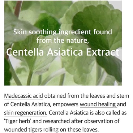 Тоник Mixsoon — Centella Asiatica % CICA Extract Repair Soothing Essence Toner Vegan Cruelty-Free, 50 мл — фото 2