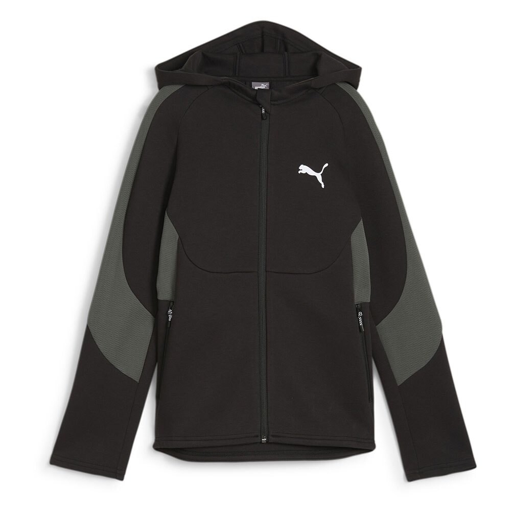 

Толстовка Puma Evostripe Dk Full Zip, черный