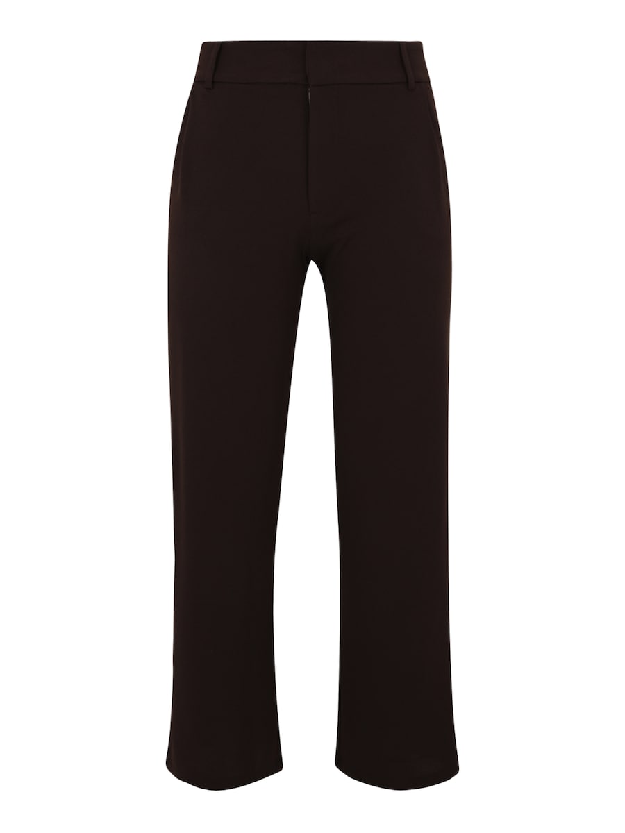 

Свободные брюки со складками спереди JDY GEGGO, темно-коричневый