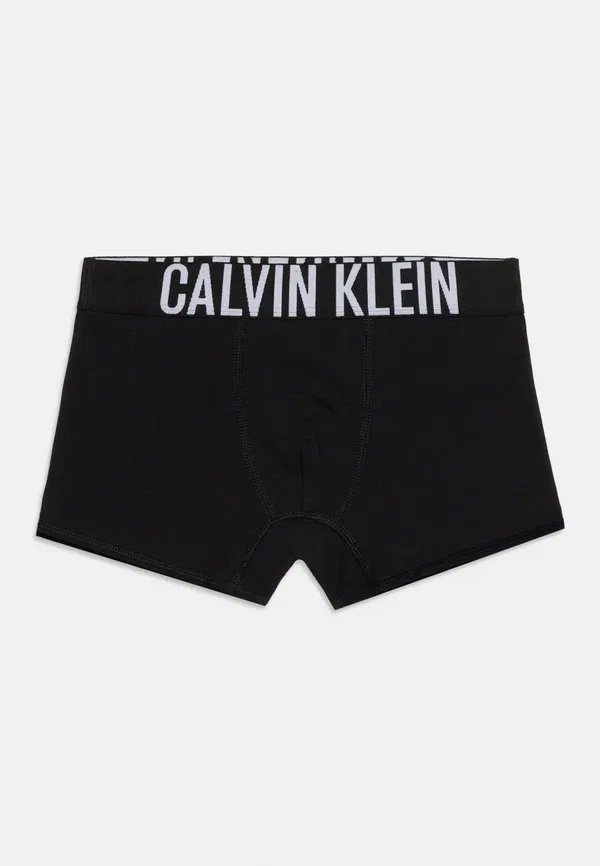 Трусы боксеры 2 шт Calvin Klein Underwear, черный — фото 3