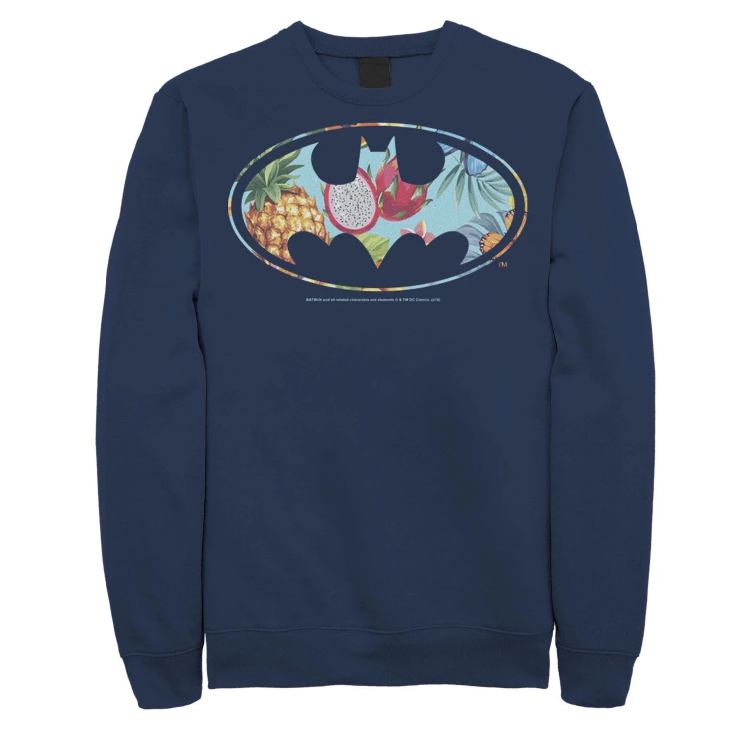 

Мужская толстовка с логотипом Batman Dragon Fruit DC Comics, синий