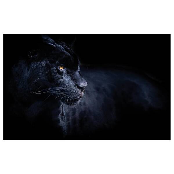

Картина на холсте A.S. Création Tiere Black Panther, черный