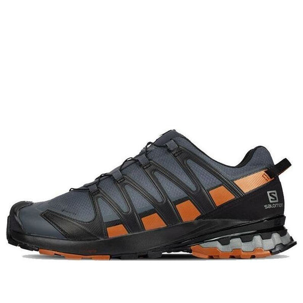 

Кроссовки xa pro 3d v8 gtx wide 'grey brown' 410428 Salomon, серый