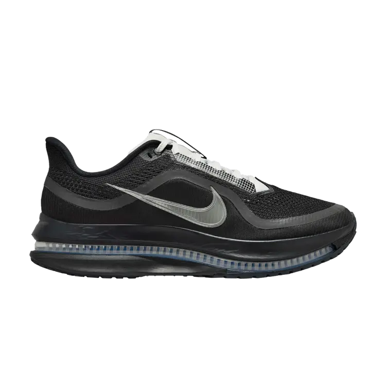 

Кроссовки Nike Pegasus Premium SP, Black Metallic Silver