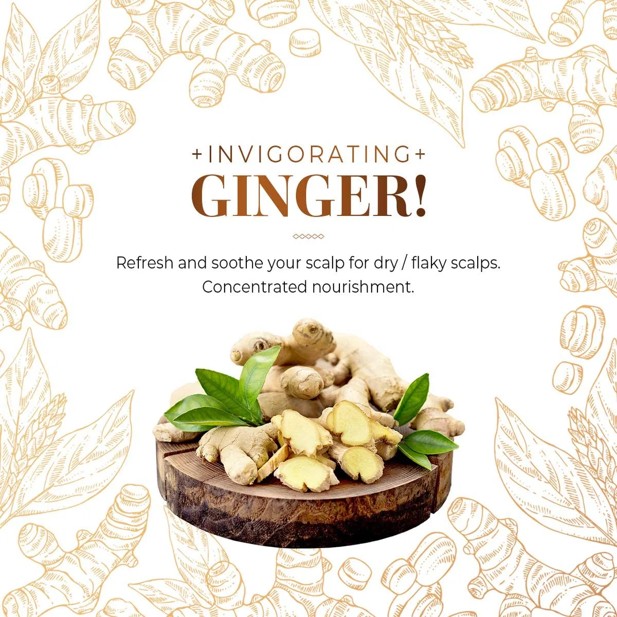 Восстанавливающий шампунь CP-1 Ginger Purifying с имбирем, 100 мл Cp-1 — фото 3