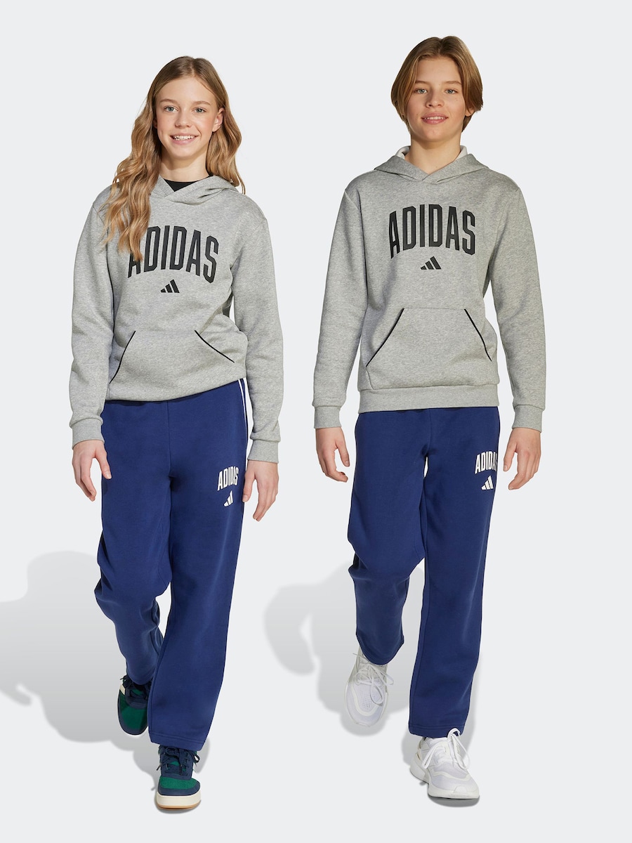 Обычные спортивные штаны ADIDAS SPORTSWEAR Essentials Collegiate, темно-синий — фото 2