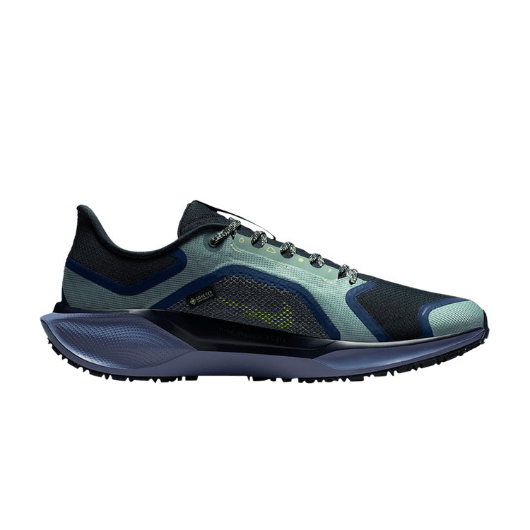 

Кроссовки Nike Air Zoom Pegasus 41 GORE-TEX 'Cannon Obsidian'