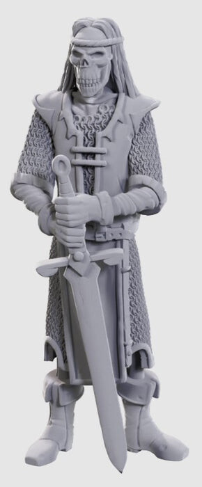 

Миниатюра Wizkids Dungeons & Dragons - Nolzur's Marvelous Unpainted Miniatures - Limited Edition 50th Anniversary Skeleton Knights- (Pre-Order)