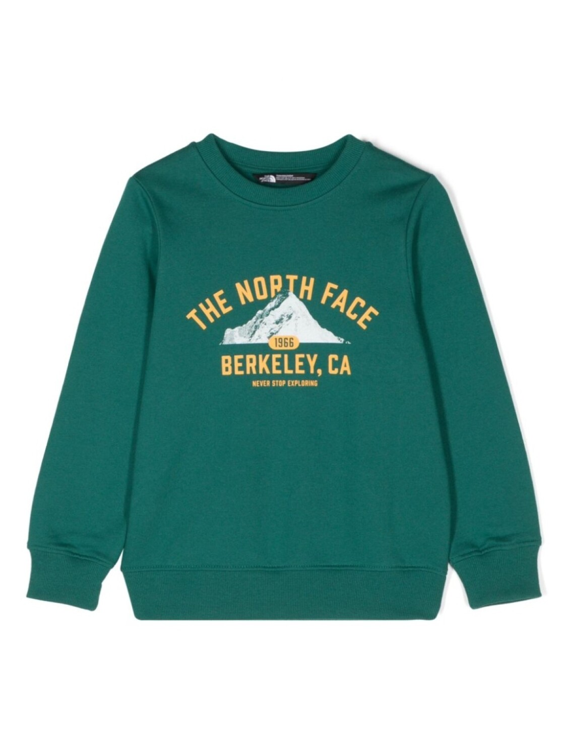 

Толстовка с графичным принтом The North Face Kids, зеленый