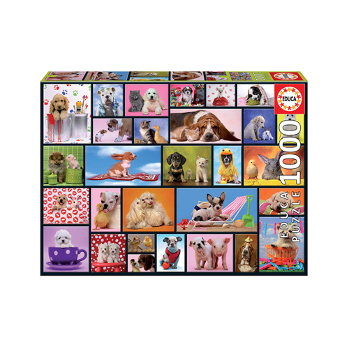 

Пазлы Shared Moments (1000 Pieces)