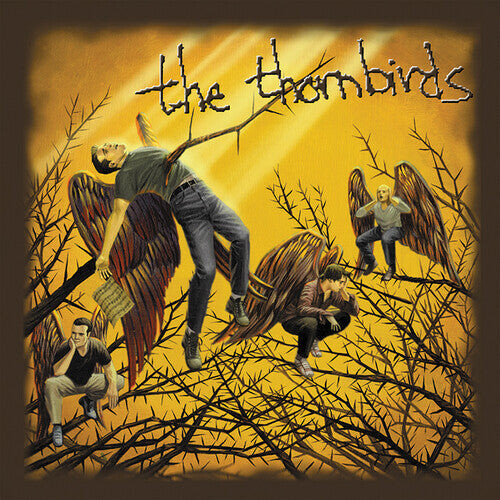 

CD диск Thornbirds: All The Same