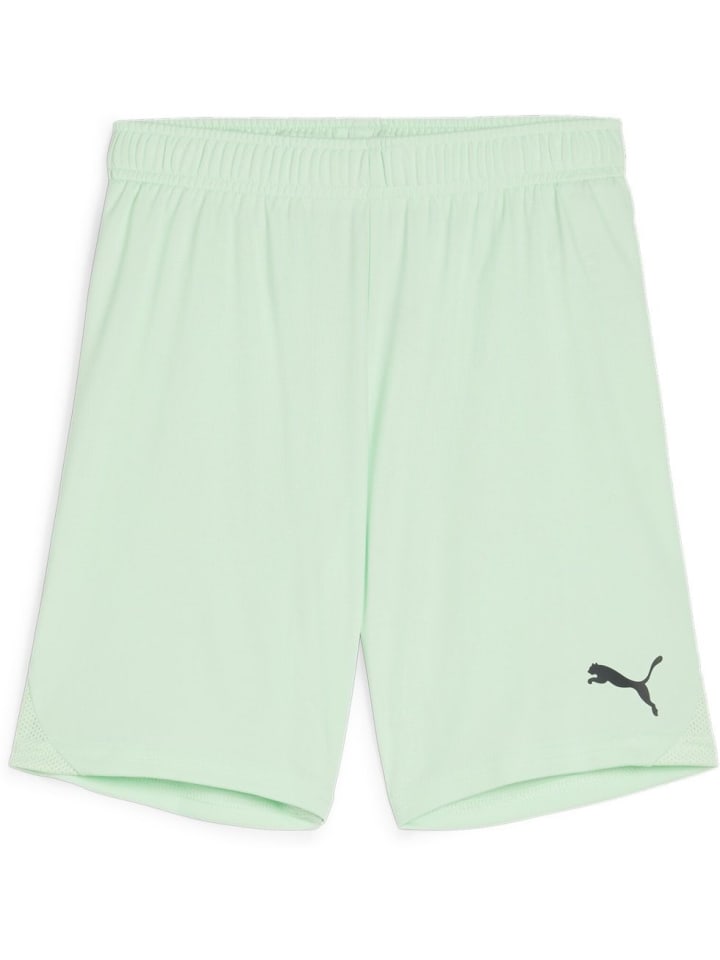

Спортивные шорты TeamGoal Shorts Jr зеленого цвета Puma