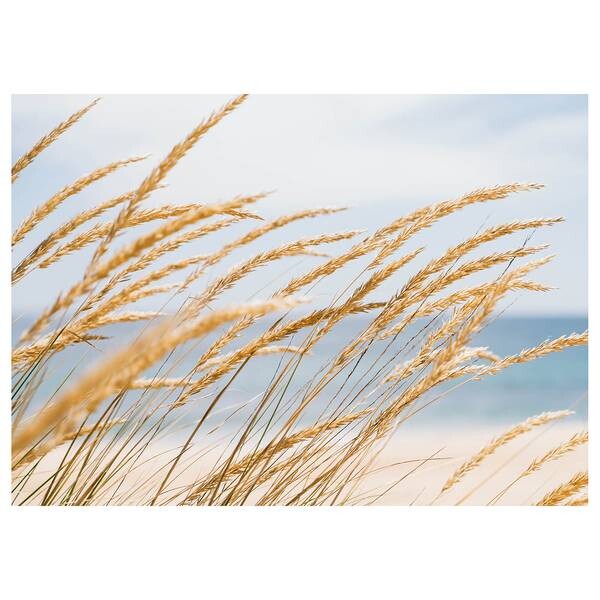 

Картина на холсте A.S. Création Strand Dune Grass цвет blau /beige