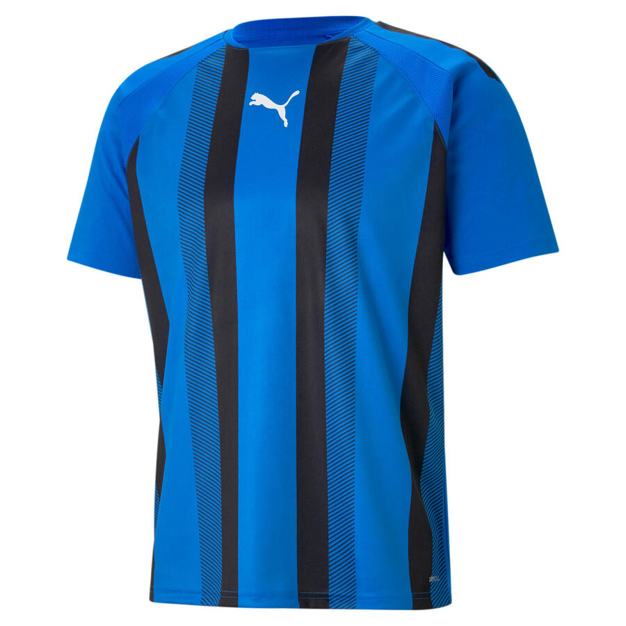 

Мужская футболка Puma TeamLIGA Striped Jersey 704920